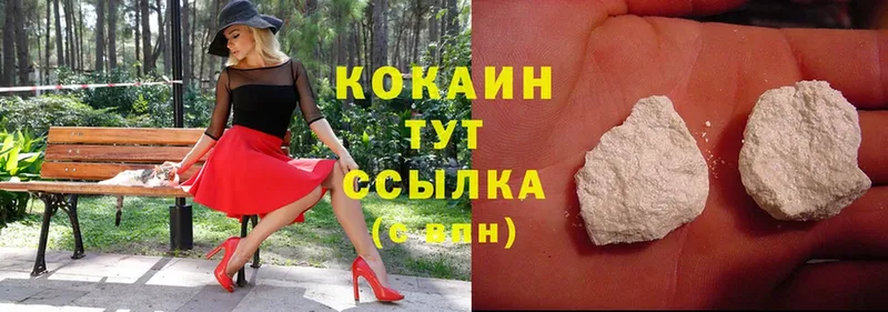 Cocaine Fish Scale  что такое   Верещагино 