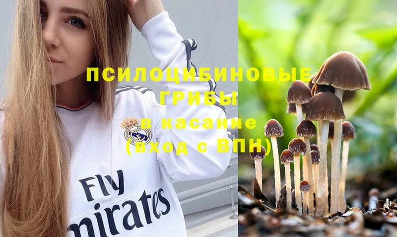 хочу наркоту  Верещагино  Галлюциногенные грибы Psilocybe 